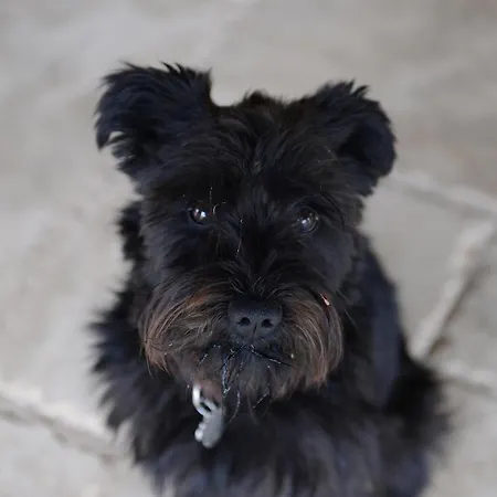 Casale Dei Briganti *