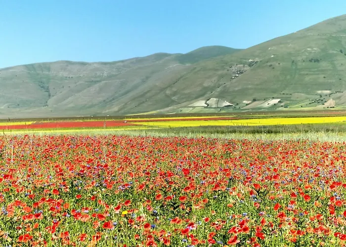 农家乐 Casale Dei Briganti 诺尔恰